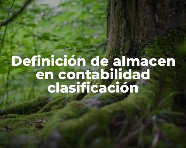 Definición de almacen en contabilidad clasificación