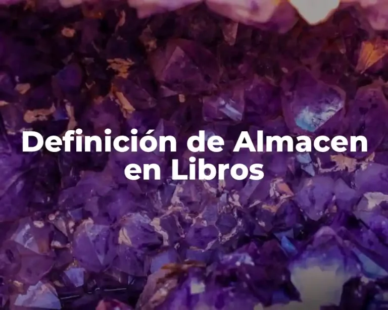 Definición de Almacen en Libros