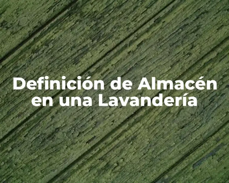Definición de Almacén en una Lavandería