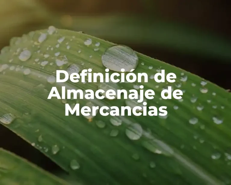 Definición de Almacenaje de Mercancias