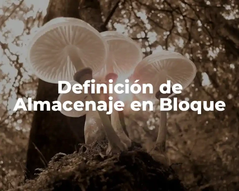 Definición de Almacenaje en Bloque