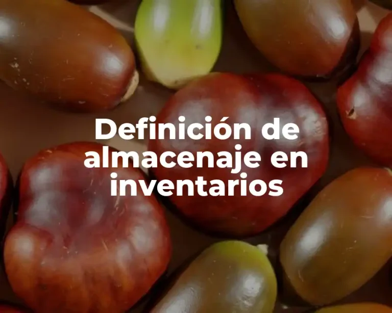 Definición de almacenaje en inventarios
