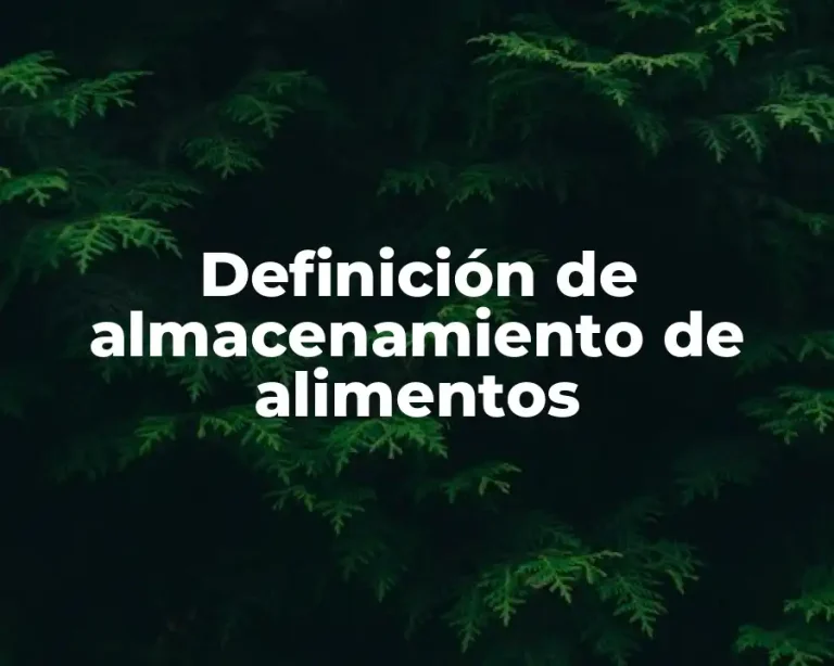 Definición de almacenamiento de alimentos