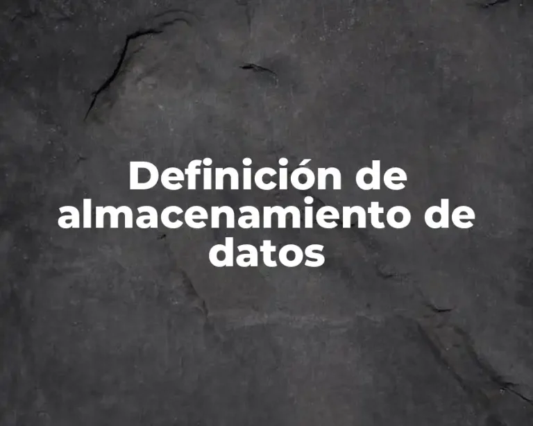 Definición de almacenamiento de datos