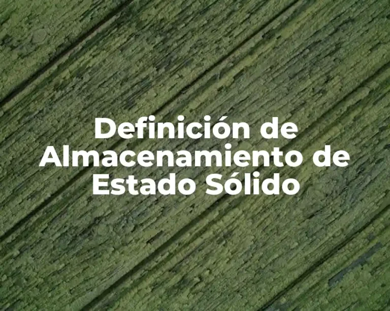 Definición de Almacenamiento de Estado Sólido