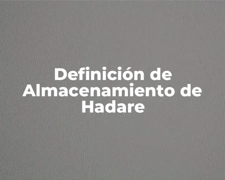Definición de Almacenamiento de Hadare