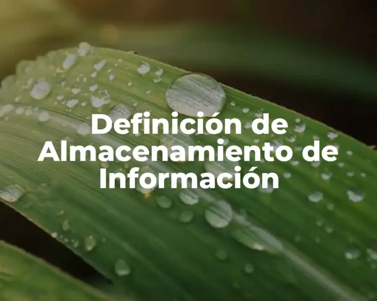 Definición de Almacenamiento de Información