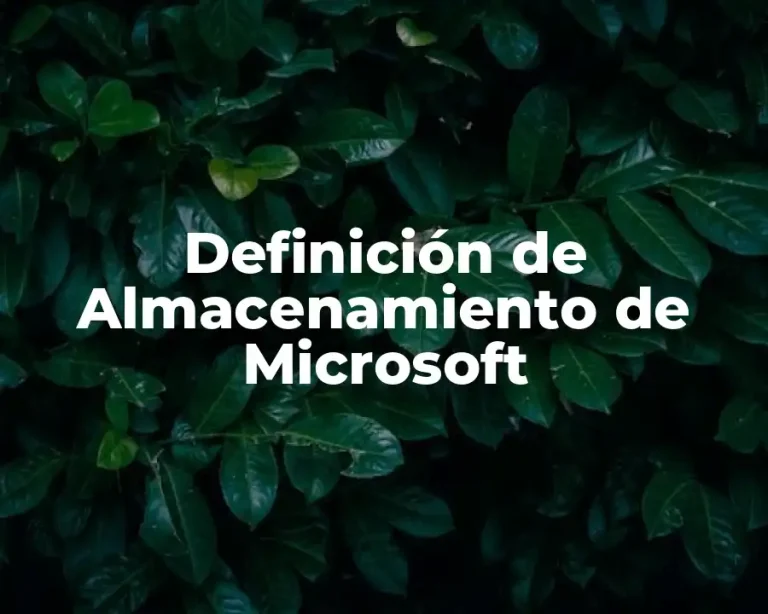 Definición de Almacenamiento de Microsoft