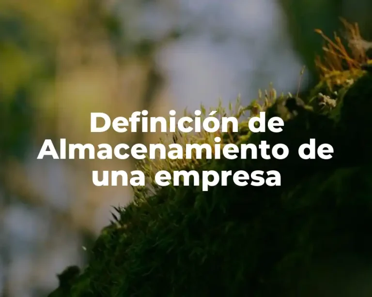 Definición de Almacenamiento de una empresa