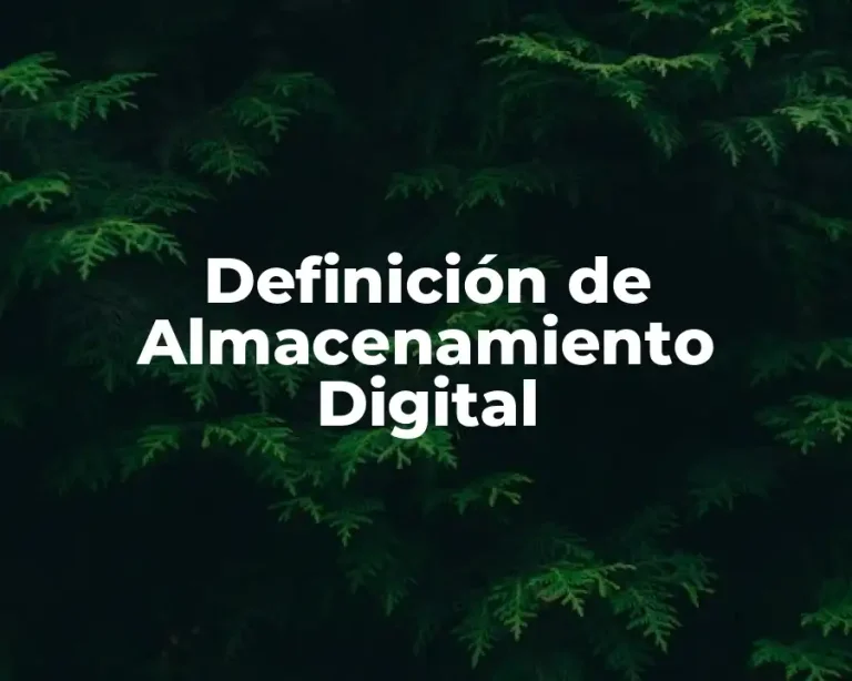 Definición de Almacenamiento Digital