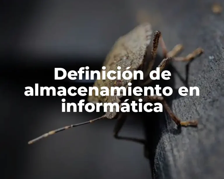 Definición de almacenamiento en informática