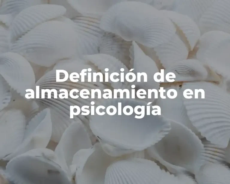 Definición de almacenamiento en psicología