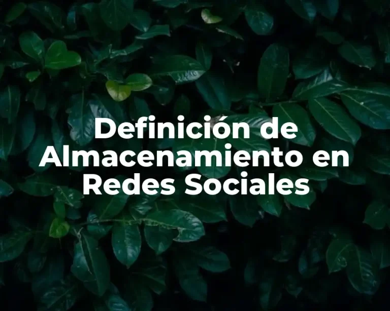 Definición de Almacenamiento en Redes Sociales