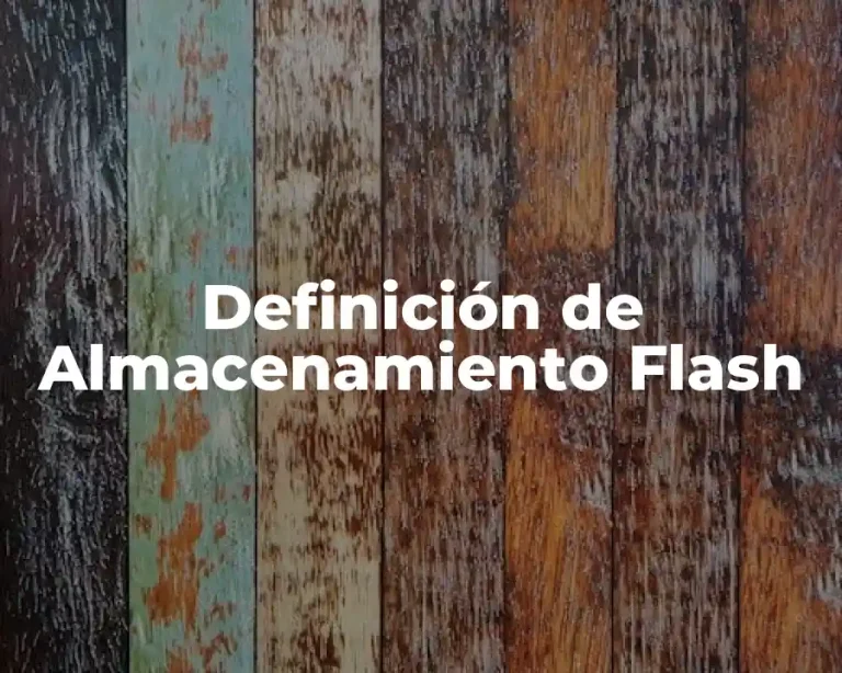 Definición de Almacenamiento Flash