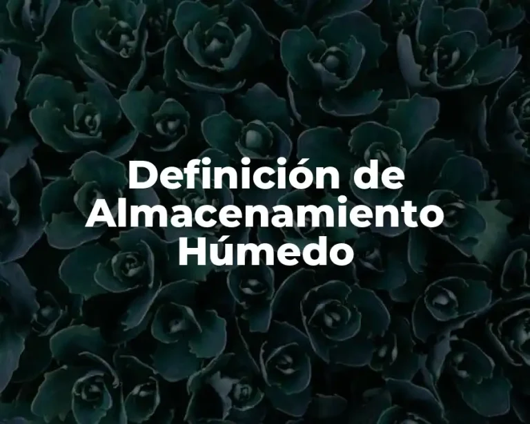 Definición de Almacenamiento Húmedo