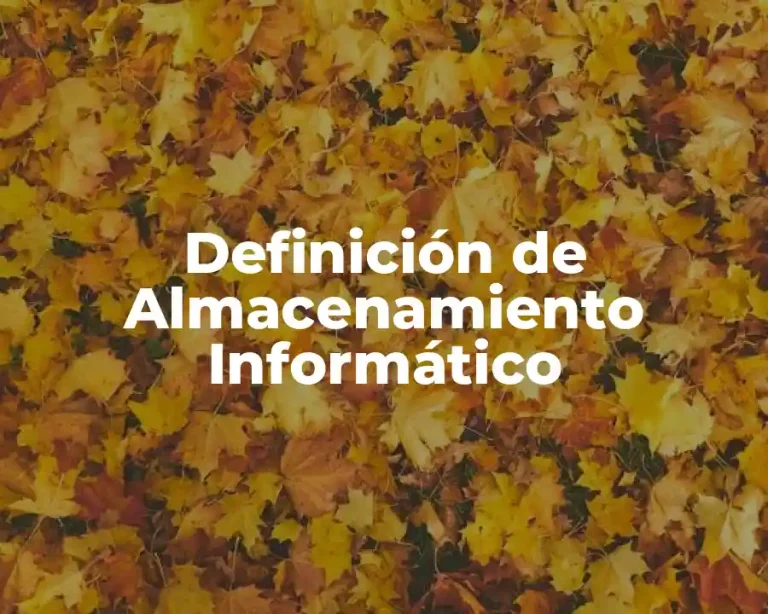 Definición de Almacenamiento Informático