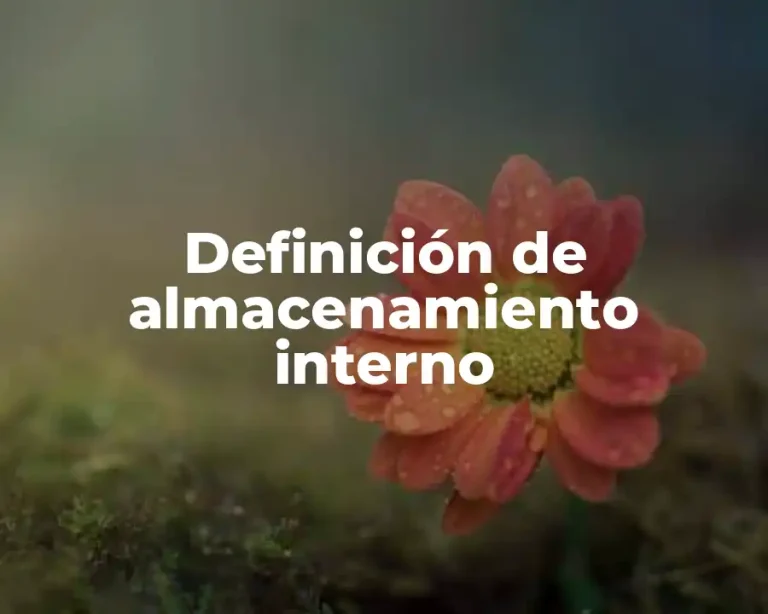 Definición de almacenamiento interno