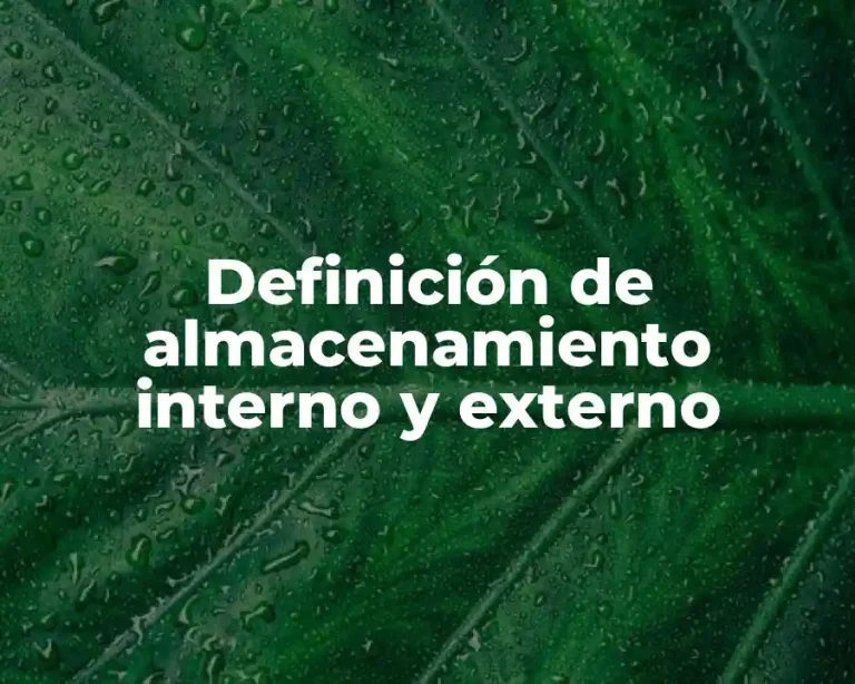 Definición de almacenamiento interno y externo