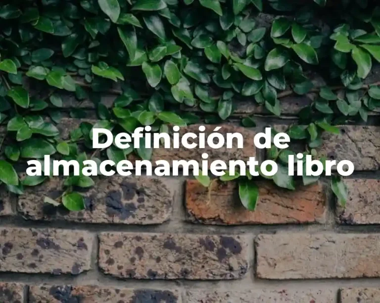 Definición de almacenamiento libro