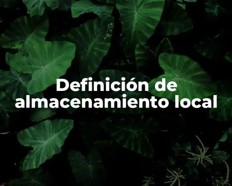Definición de almacenamiento local