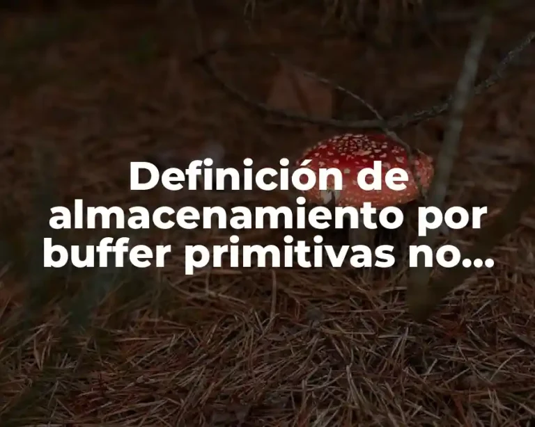 Definición de almacenamiento por buffer primitivas no almacenadas