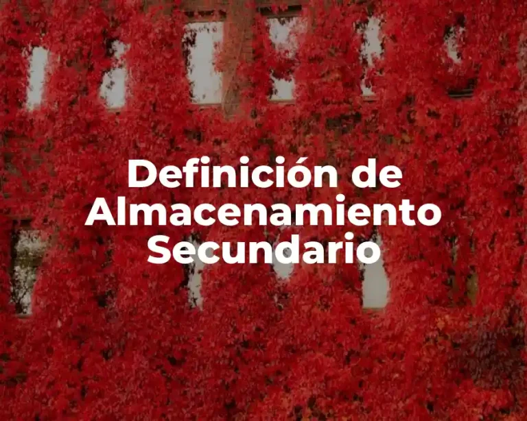Definición de Almacenamiento Secundario