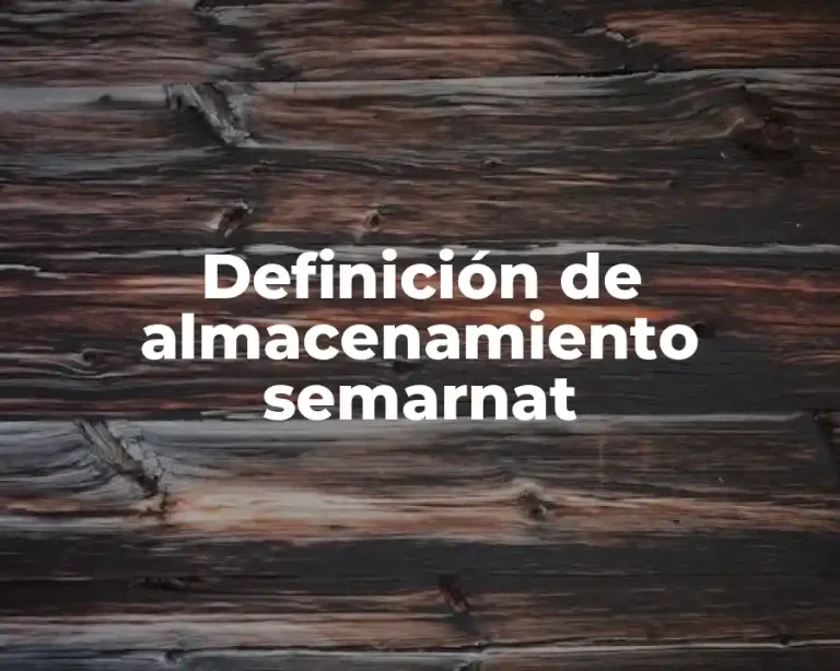 Definición de almacenamiento semarnat