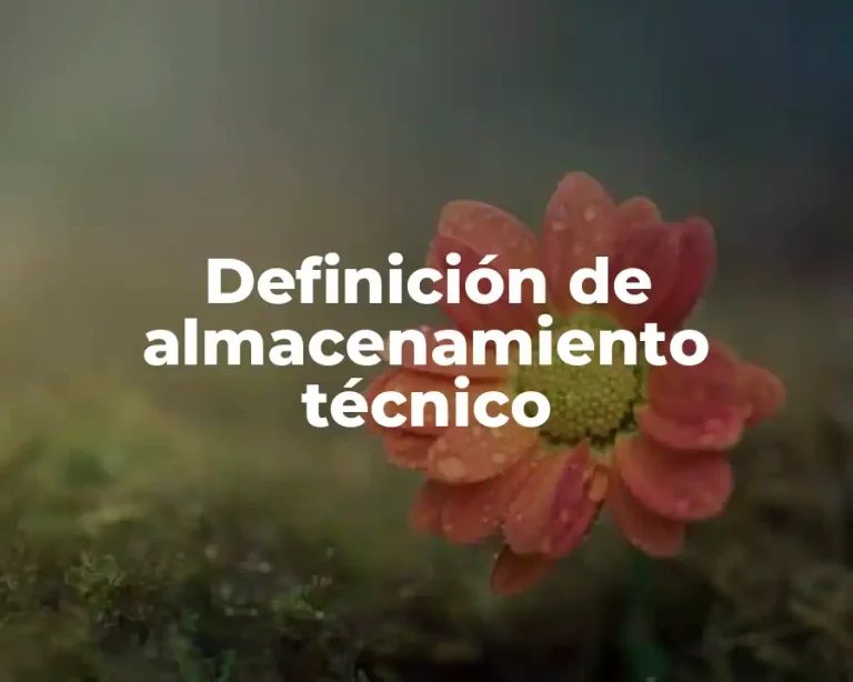 Definición de almacenamiento técnico