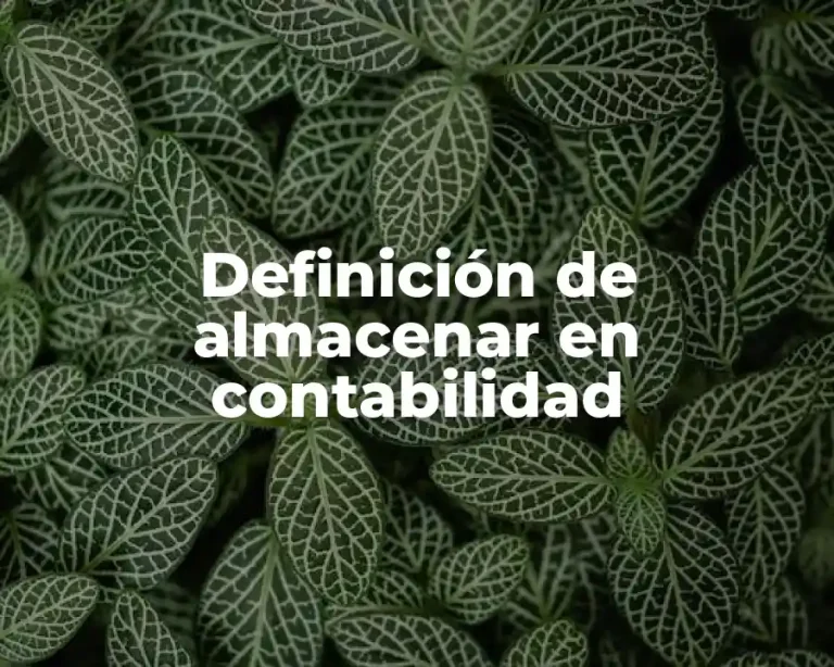 Definición de almacenar en contabilidad