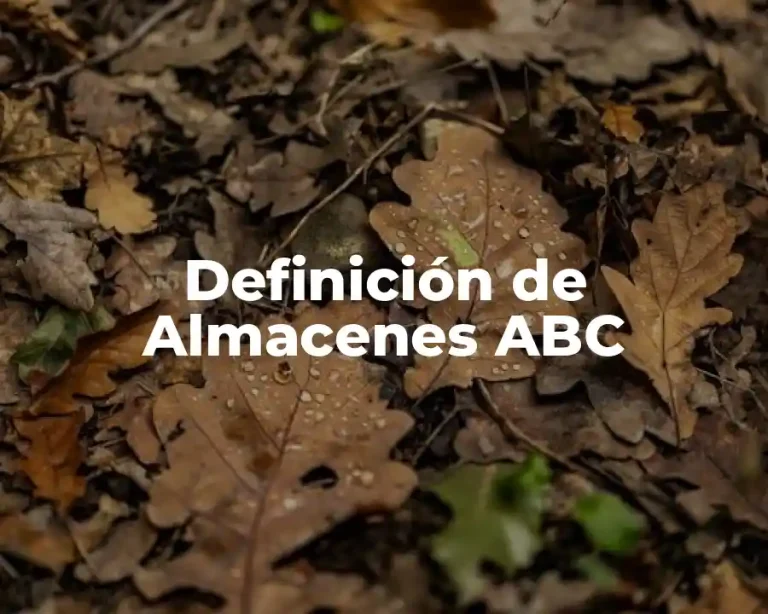 Definición de Almacenes ABC