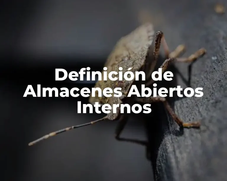 Definición de Almacenes Abiertos Internos