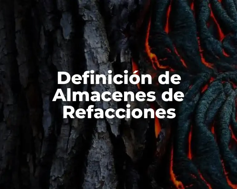 Definición de Almacenes de Refacciones