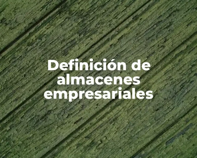 Definición de almacenes empresariales