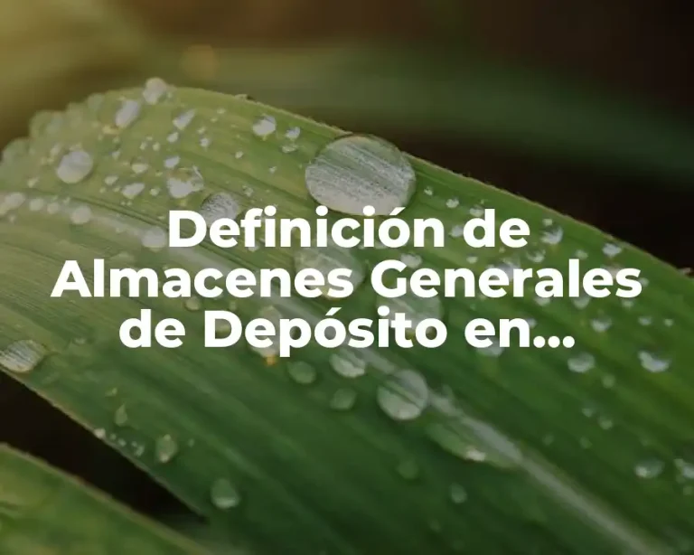 Definición de Almacenes Generales de Depósito en Colombia
