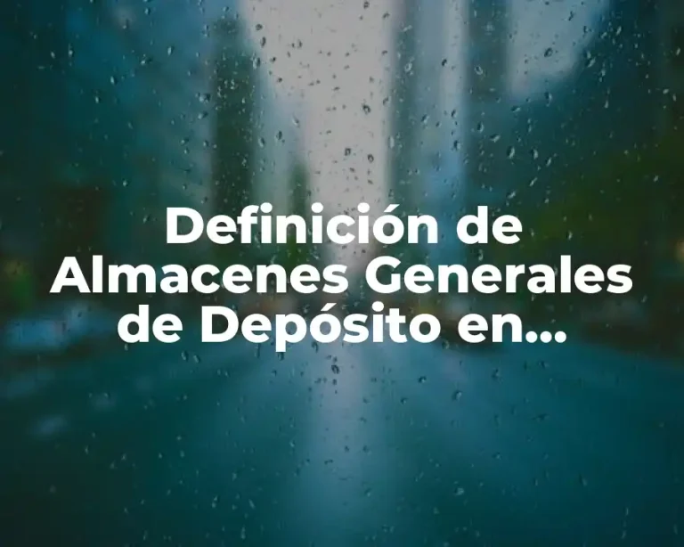 Definición de Almacenes Generales de Depósito en Honduras