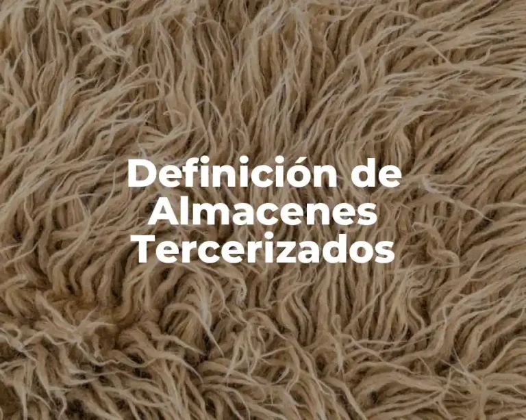 Definición de Almacenes Tercerizados