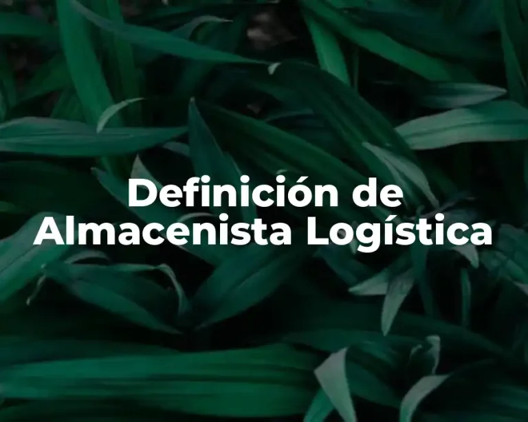Definición de Almacenista Logística