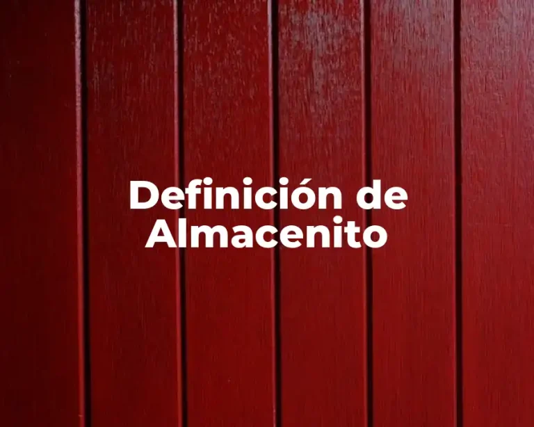 Definición de Almacenito