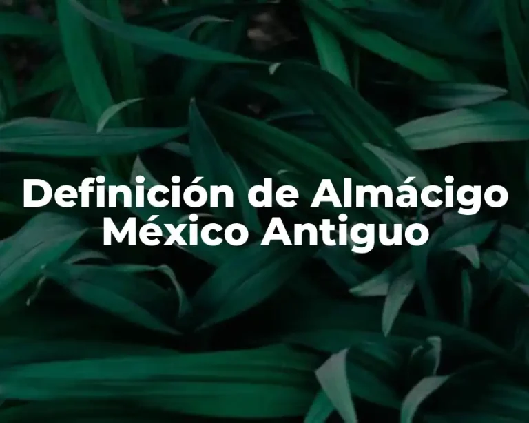 Definición de Almácigo México Antiguo