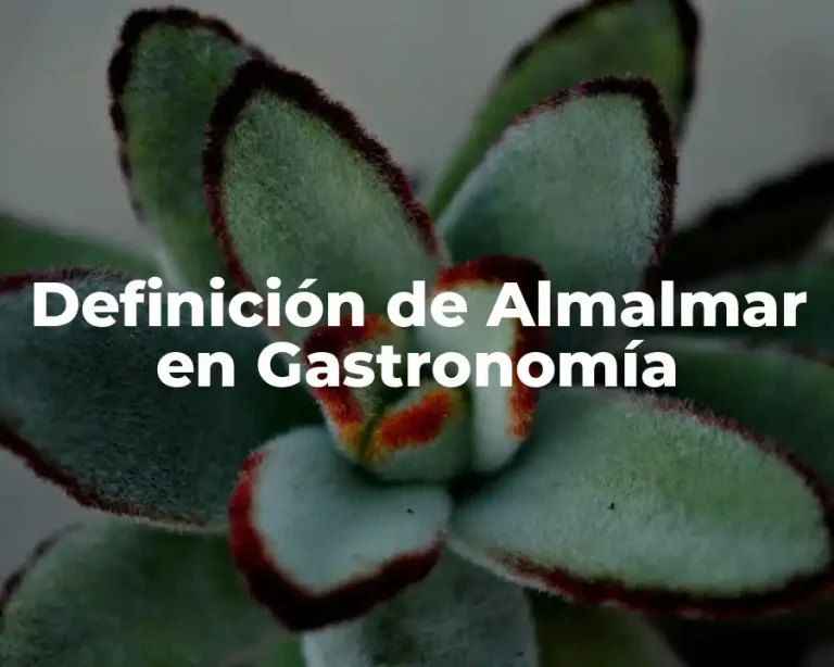 Definición de Almalmar en Gastronomía