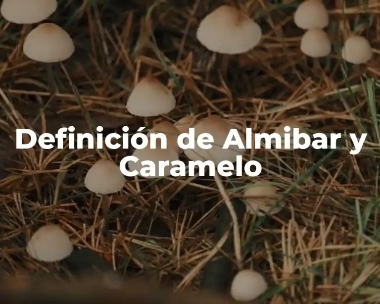 Definición de Almibar y Caramelo