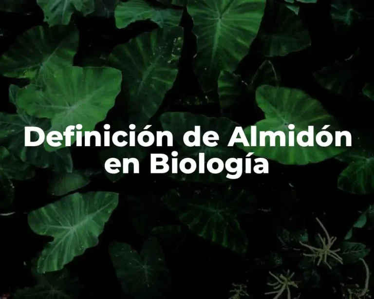 Definición de Almidón en Biología