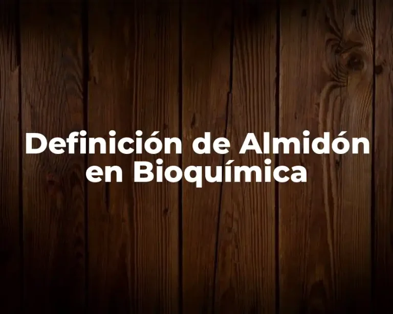 Definición de Almidón en Bioquímica