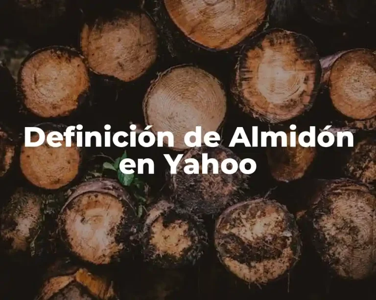 Definición de Almidón en Yahoo