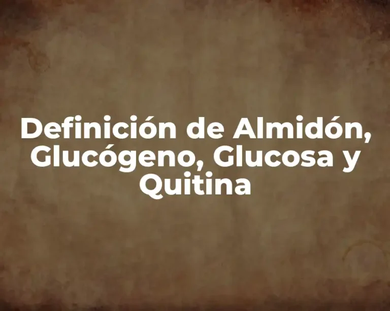 Definición de Almidón, Glucógeno, Glucosa y Quitina