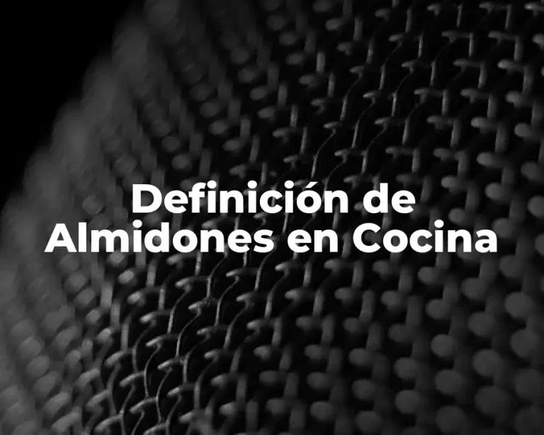 Definición de Almidones en Cocina