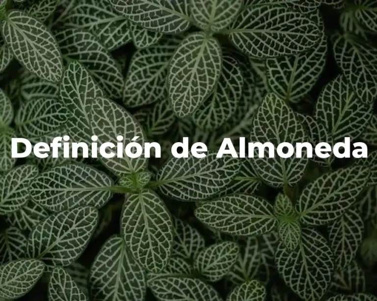 Definición de Almoneda