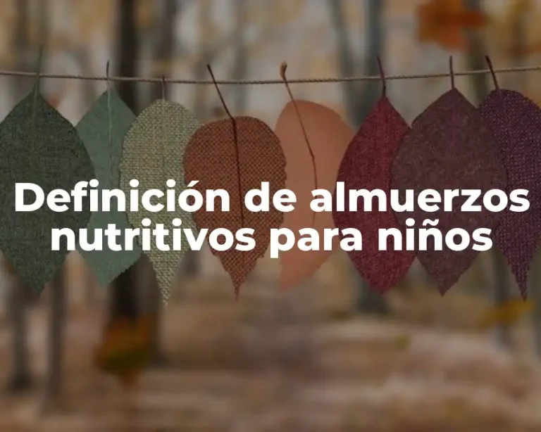 Definición de almuerzos nutritivos para niños