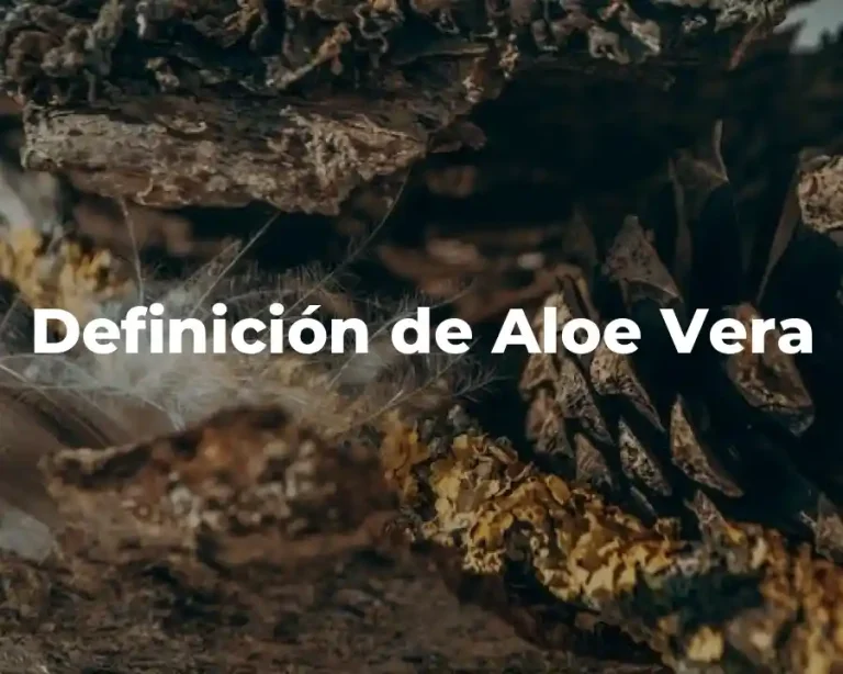 Definición de Aloe Vera