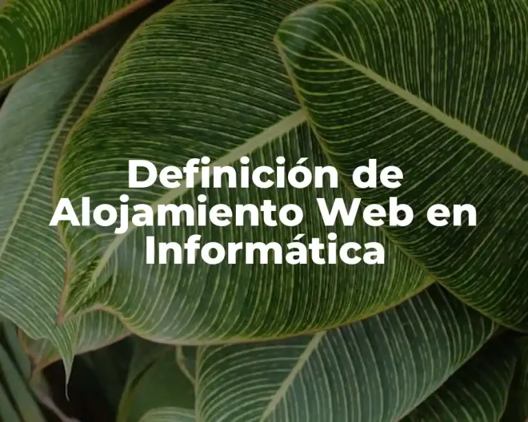 Definición de Alojamiento Web en Informática